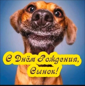 Крепкого здоровья и ярких дней! 🌟