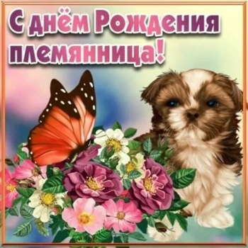 Мечтай смелее и зажигай звезды! 🌌