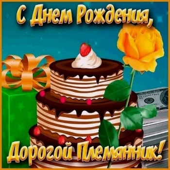 Племянник, гордимся тобой бесконечно! 🎉