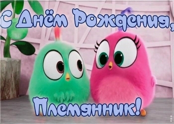 Племянник, расти сильным и смелым! 💪