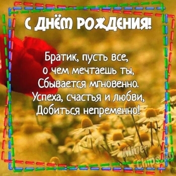 Силы, брат, и море позитива! 💪