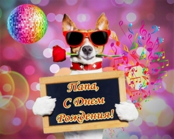 Ты — мой главный пример для подражания. 👑