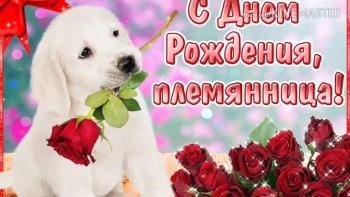 Ты — наша радость и гордость! 🌟