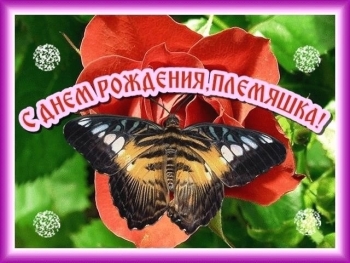 Желаю тебе море улыбок! 🌊😄