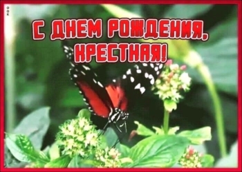 Благодарю судьбу за такую крестную!