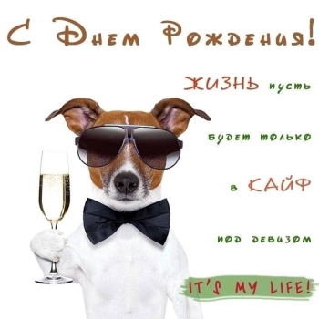 Горжусь тобой и твоими успехами. 👑