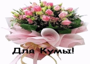 Кум, будь всегда на высоте! 🚀