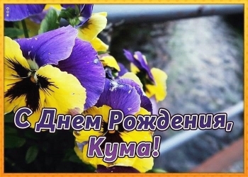 Кумуля, с твоим днем! 🥂