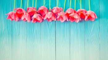 Любимая, с днем рождения! ❤️