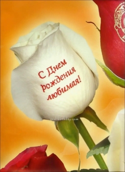 Любимой жене — бесконечного счастья! ❤️