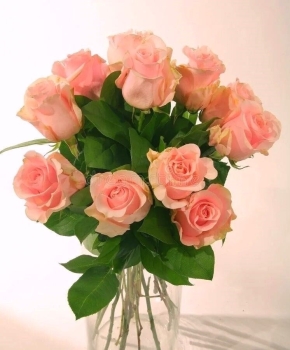 Процветай и сияй, как всегда! 🌟