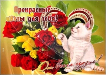 Процветания и ярких впечатлений! 🌈