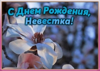 Процветания и легкого пути!