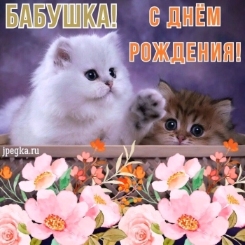 Процветания и радости каждый день.