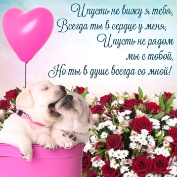 Пусть каждый день будет волшебным. ✨