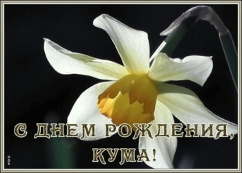 Пусть все мечты исполнятся сегодня. ✨