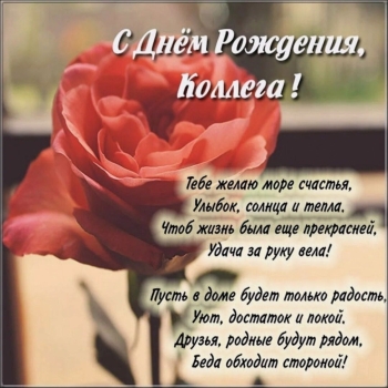 С днем рождения, дорогая невестка! 💐