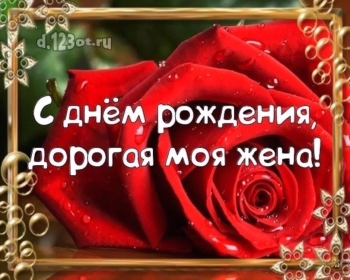 С днем рождения, моя радость! ✨