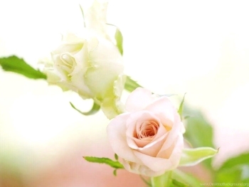 Самый прекрасный день для самой прекрасной!