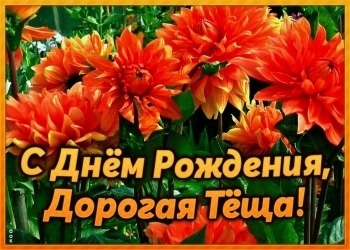 Спасибо за вашу доброту! 🙏