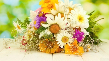 Твоя улыбка освещает всё вокруг. ☀️