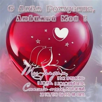 Ты — мое главное счастье. 😍