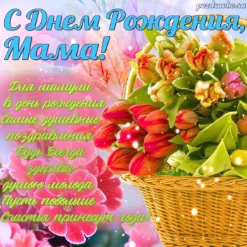 Ты — мой главный человек. 🥰