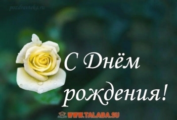 Ты — мой главный подарок судьбы. 🎁