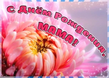 Ты — мой главный пример для подражания.