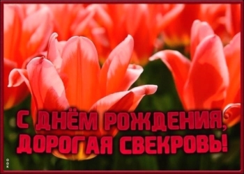 Вы — лучшая свекровь на свете! 🌟