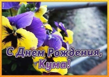 Здоровья, кум, на все сто! 💪