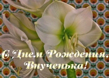 Желаю счастья без границ! 💫